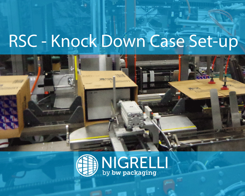 Case Packers 101: Case Styles, Packaging Machinery & Value Adds