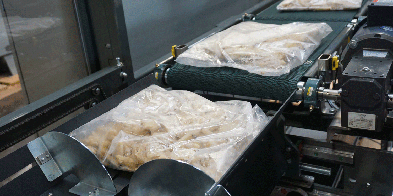 Nigrelli-DL-25-Drop-Load-Case-Packer-IQF Nigrelli DL 25 Direct Load Case Packer - IQF