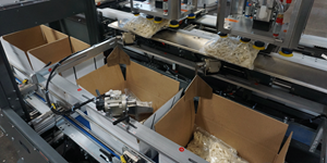 Nigrelli TL 20 Top Load Case Packer