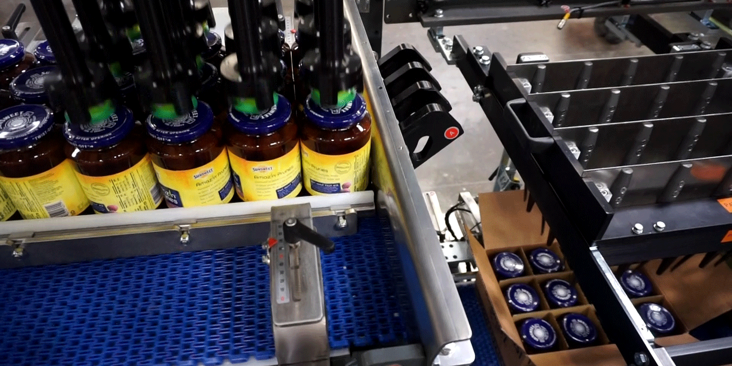 Nigrelli-TL-20-Case-Packer-Snack Nigrelli TL 20 Case Packer - Snacks