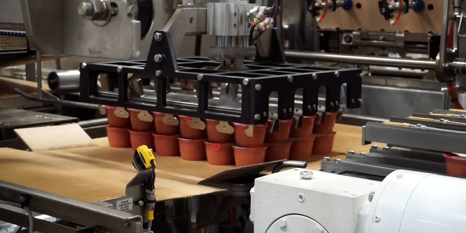 Nigrelli-WP-25-WrapAround-Case-Packer-Food Nigrelli WP 25 WrapAround Case Packer - Food