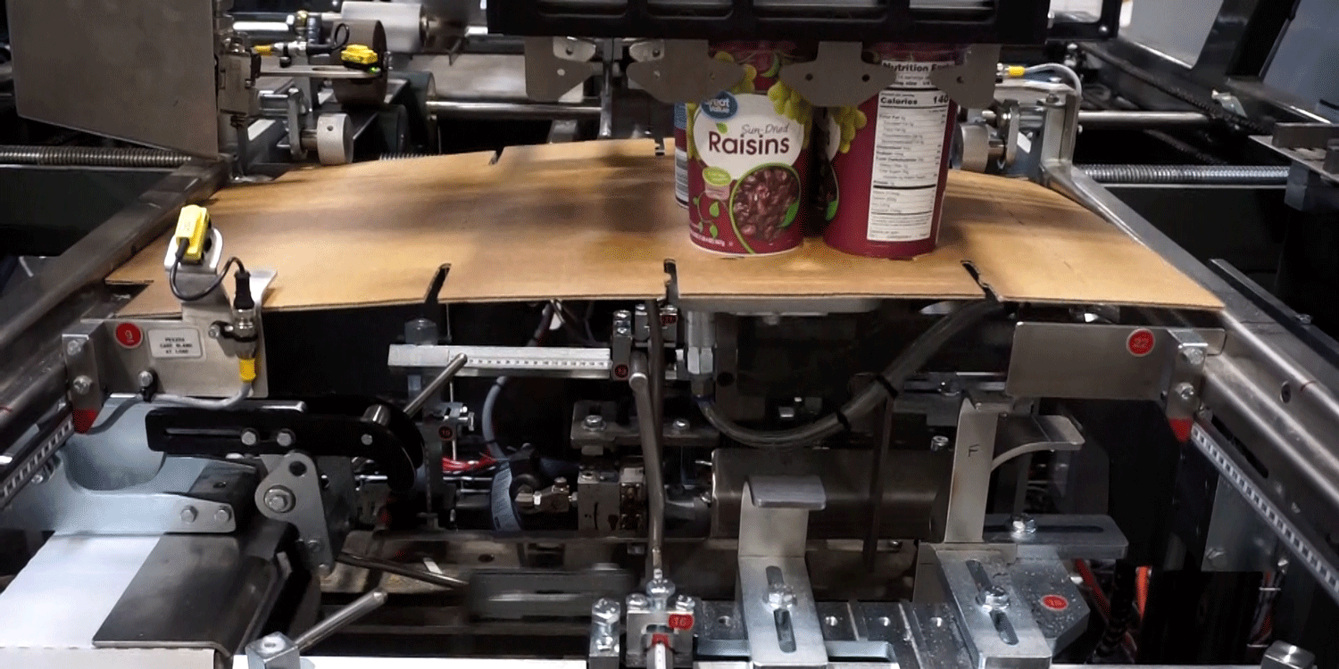Nigrelli-WP-25-WrapAround-Case-Packer-Snack-Food Nigrelli WP 25 WrapAround Case Packer - Snack Food
