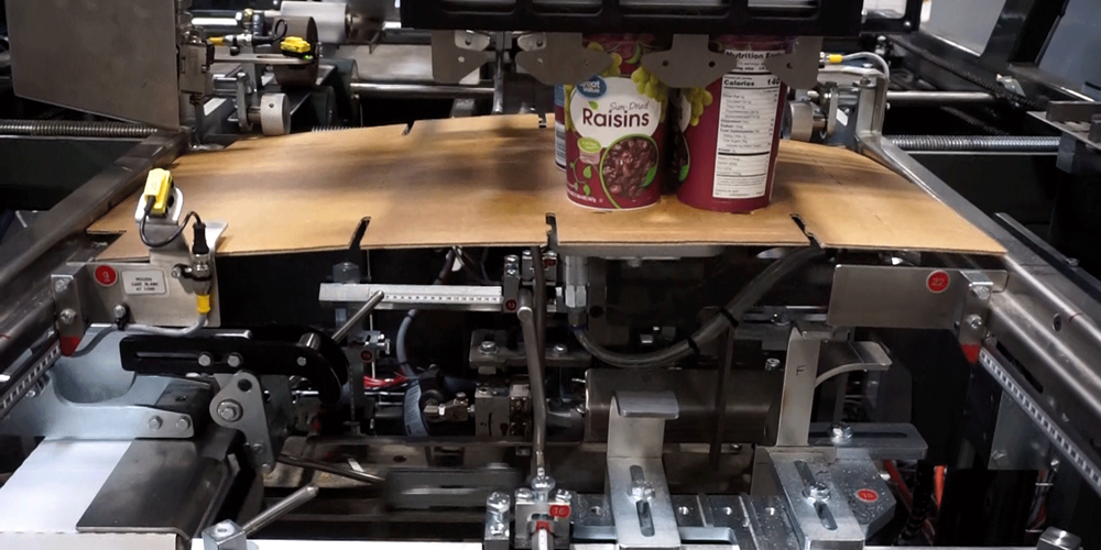 Nigrelli-WP-25-WrapAround-Case-Packer-Snack-Food Nigrelli WP 25 WrapAround Case Packer - Snack Food