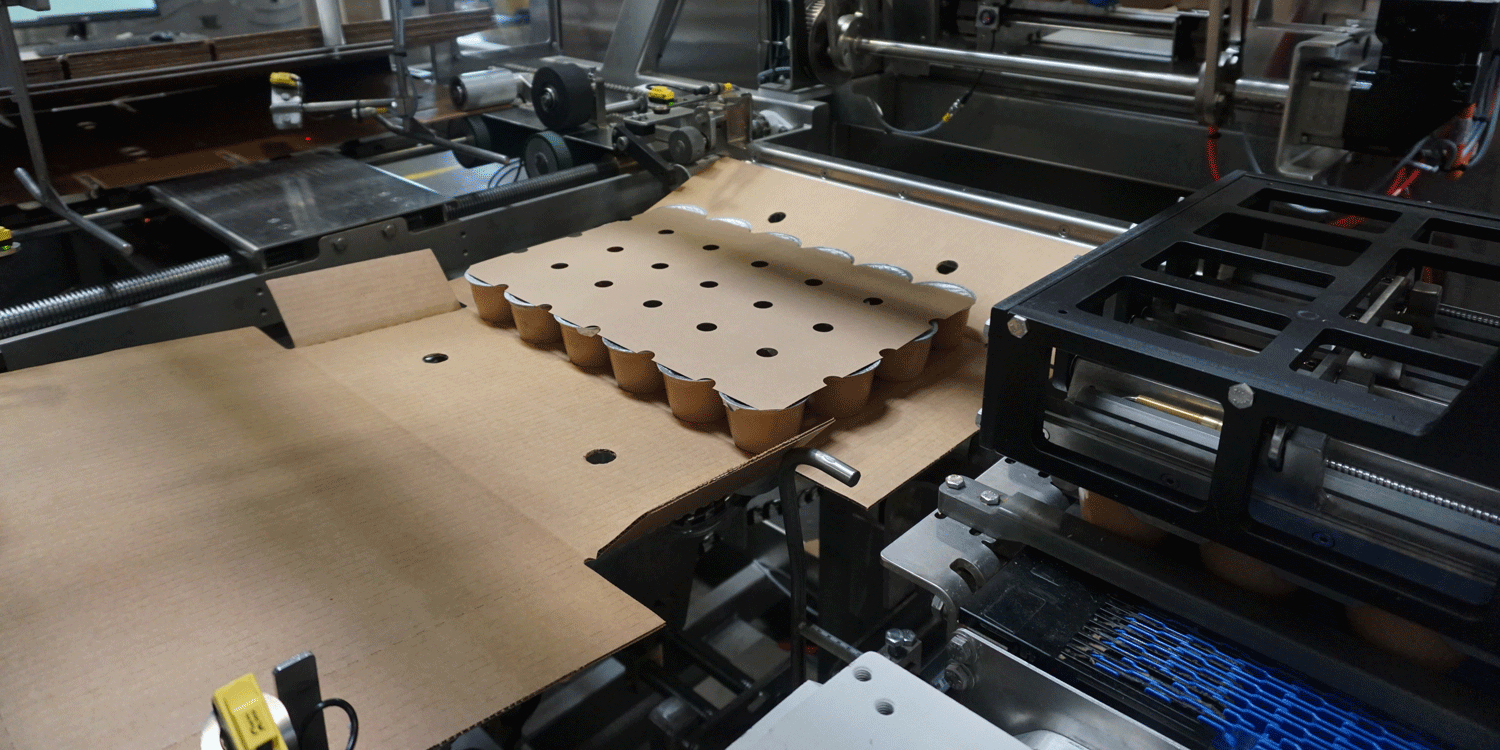 Nigrelli-WP-25-Wraparound-Case-Packer-Snacks Nigrelli WP 25 WrapAround Case Packer - Snacks