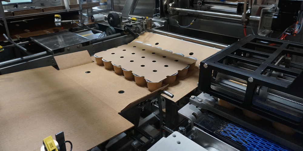 Nigrelli-WP-25-Wraparound-Case-Packer-Snacks Nigrelli WP 25 WrapAround Case Packer - Snacks