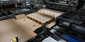 Nigrelli WrapAround Case Packers