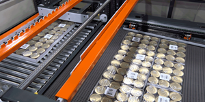 Stact Maximus Case Palletizer