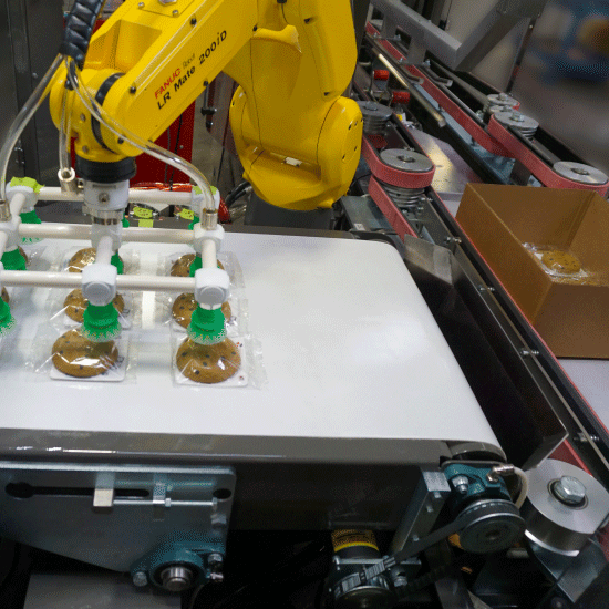 Salwasser ITL300 Robotic Top Load Case Packer