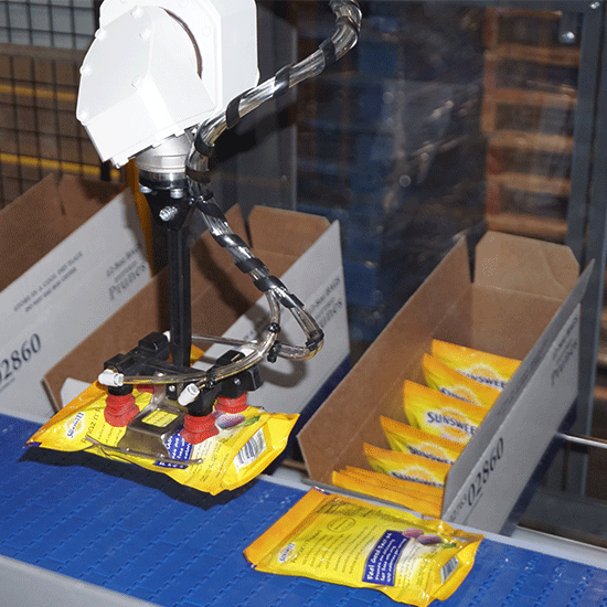 Robotic Case Packer - Flexible-packages