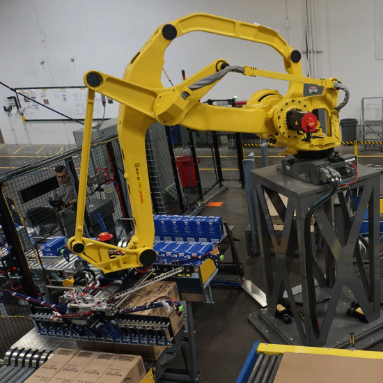 Low Level Robotic Case Palletizer