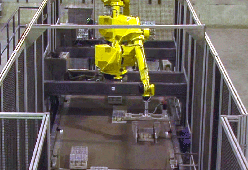 Robomax High Speed Case Palletizer
