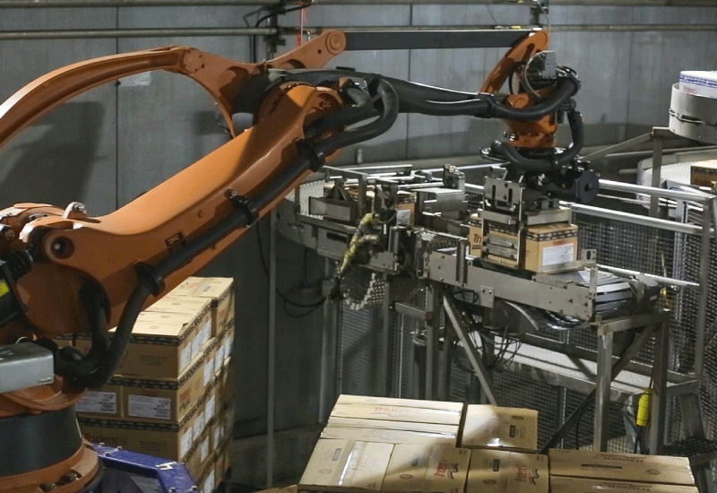 Robotic-Rotary-Case-Palletizer2_800x550